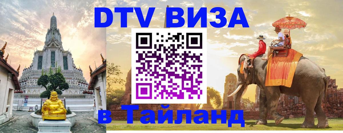 Сколько стоит DTV виза — актуальные цены, оформление даже без документов - Новый Уренгой 